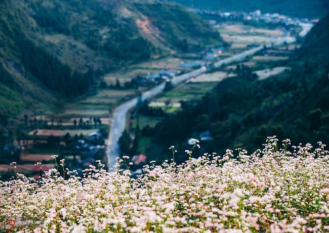 Chinh Phục Tây Bắc: Hành Trình Chạm Tới Mây Ngàn Cùng Miramizu Travel tay bac